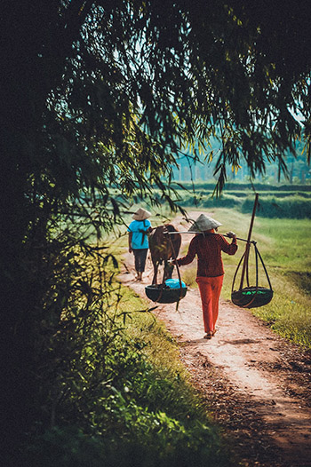 Exploration Vietnam