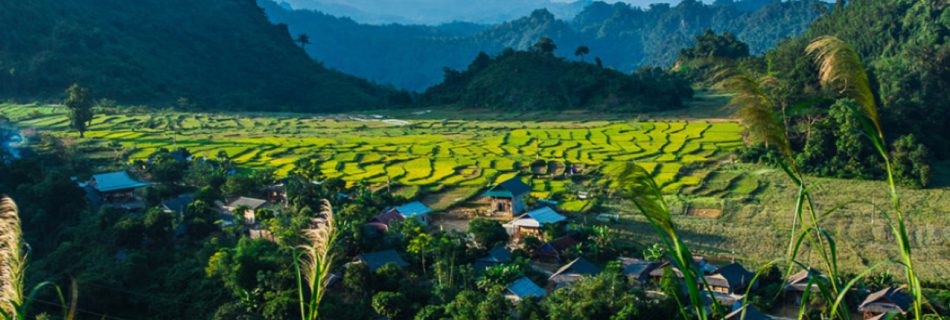 Mai Chau