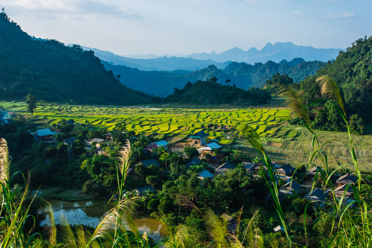 Mai Chau