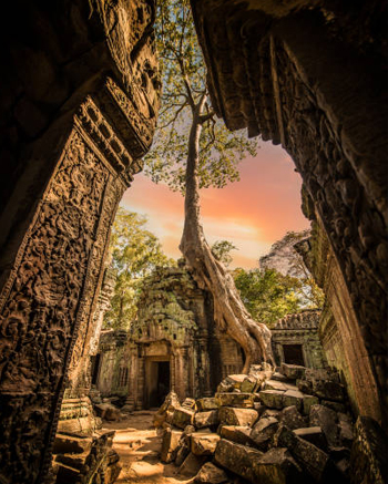 Ta Prohm