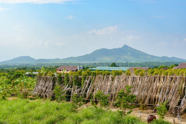 Poivre Kampot