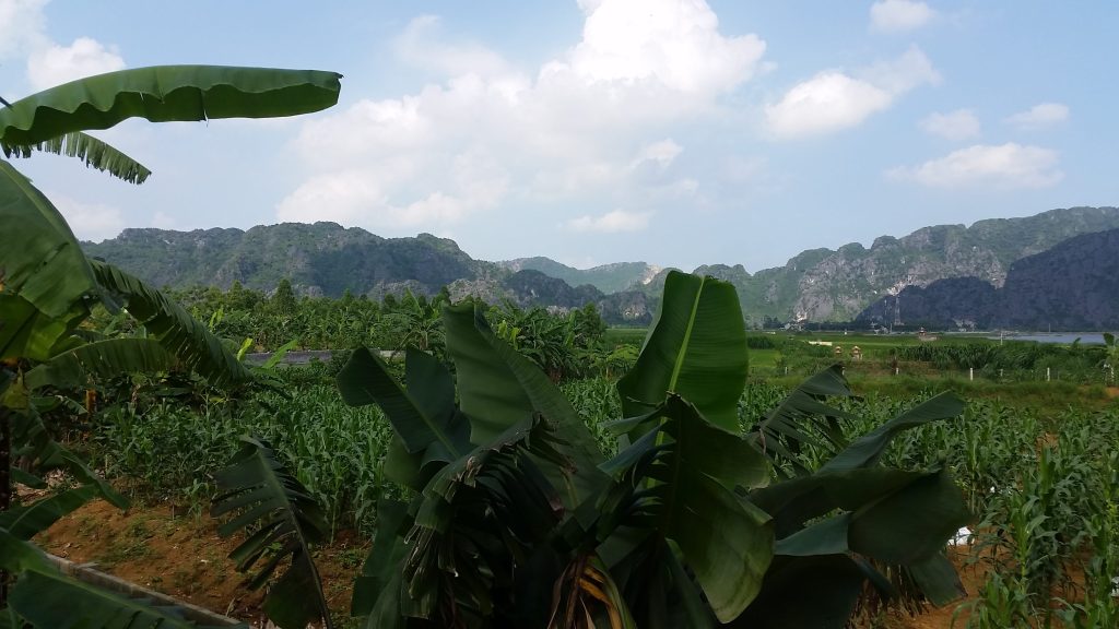 Baie d'Halong terrestre