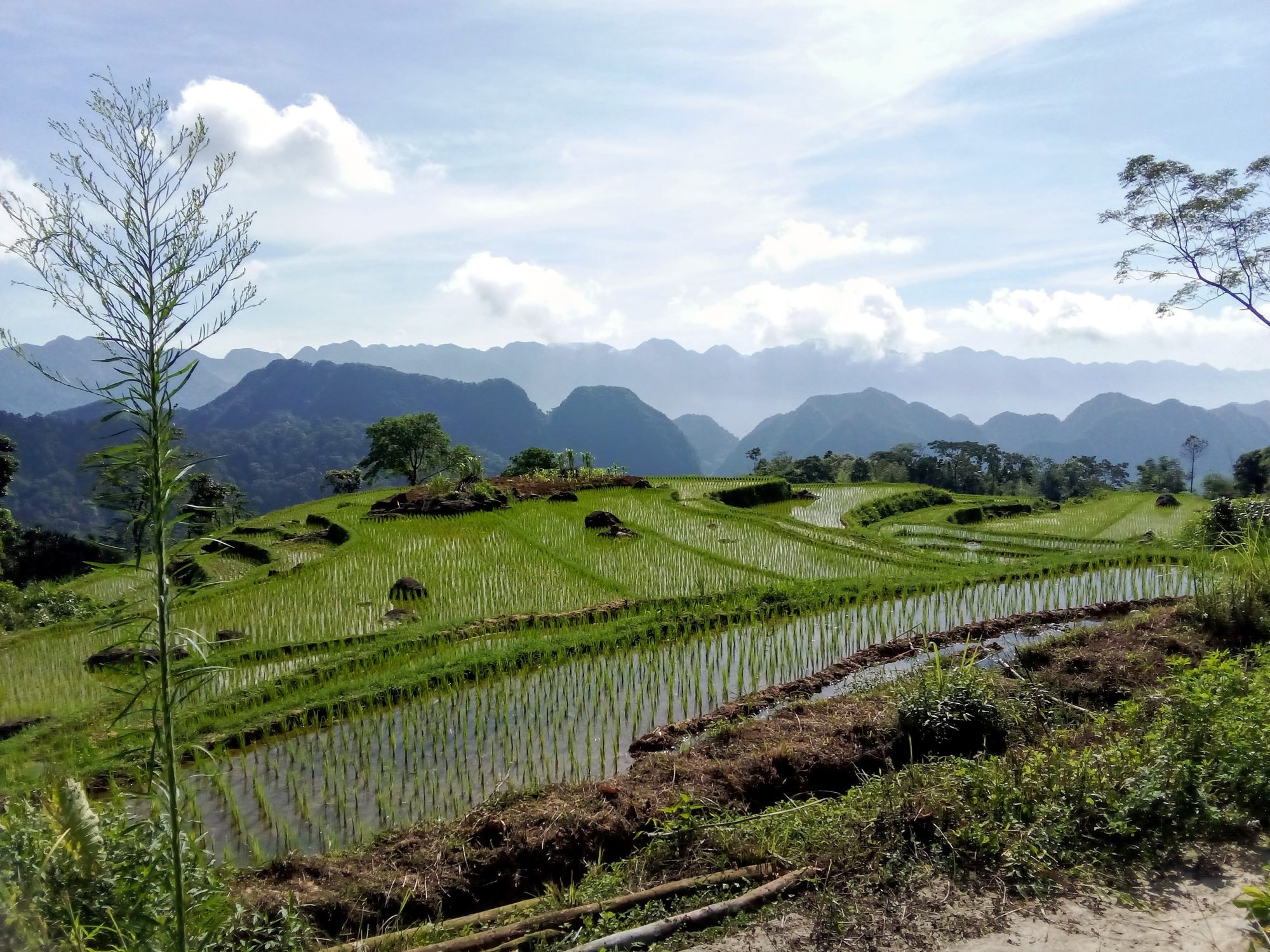 La reserve naturelle de Pu Luong