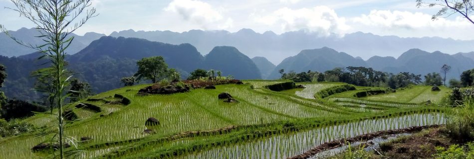 La reserve naturelle de Pu Luong